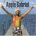 MiilionTrack Catalogue: Apple Gabriel - Another Moses