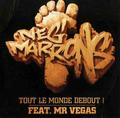 MiilionTrack Catalogue: NEG MARRON - Tout le monde debout - 2 versions & clip